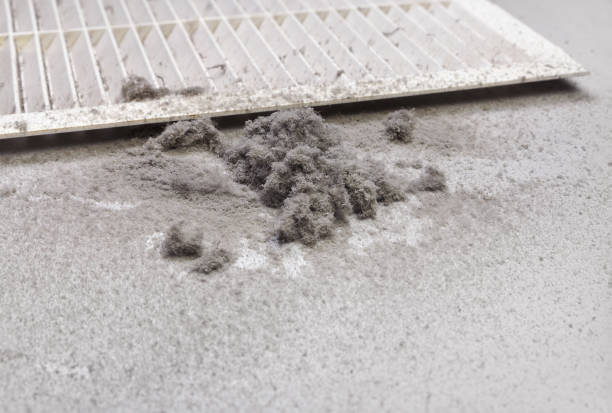 Best Commercial HVAC Duct Cleaning  in Pquemine, LA