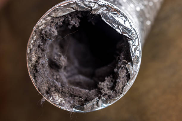 Best Best Air Duct Cleaning Company  in Pquemine, LA