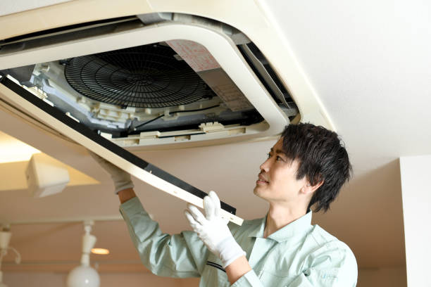 Best Affordable HVAC Duct Cleaning  in Pquemine, LA