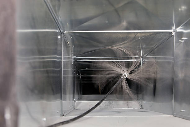 Best Dryer Vent Cleaning Services  in Pquemine, LA
