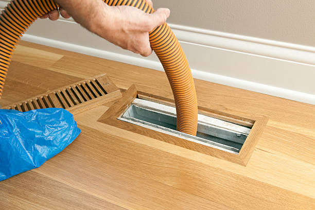 Best Air Vent Cleaning Services  in Pquemine, LA