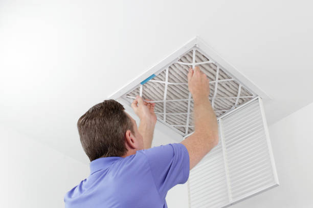 Best Duct Cleaning for Homes  in Pquemine, LA